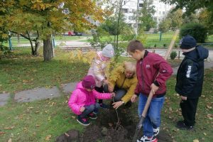 IMG_20210930_113644 IMG_20210930_113644