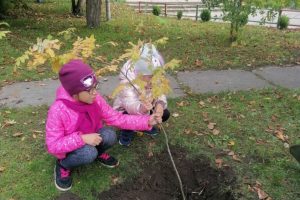 IMG_20210930_113751 IMG_20210930_113751