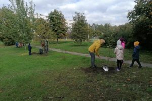 IMG_20210930_114254 IMG_20210930_114254