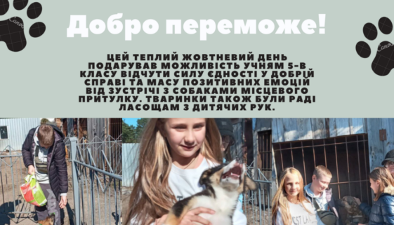 5В_Добро